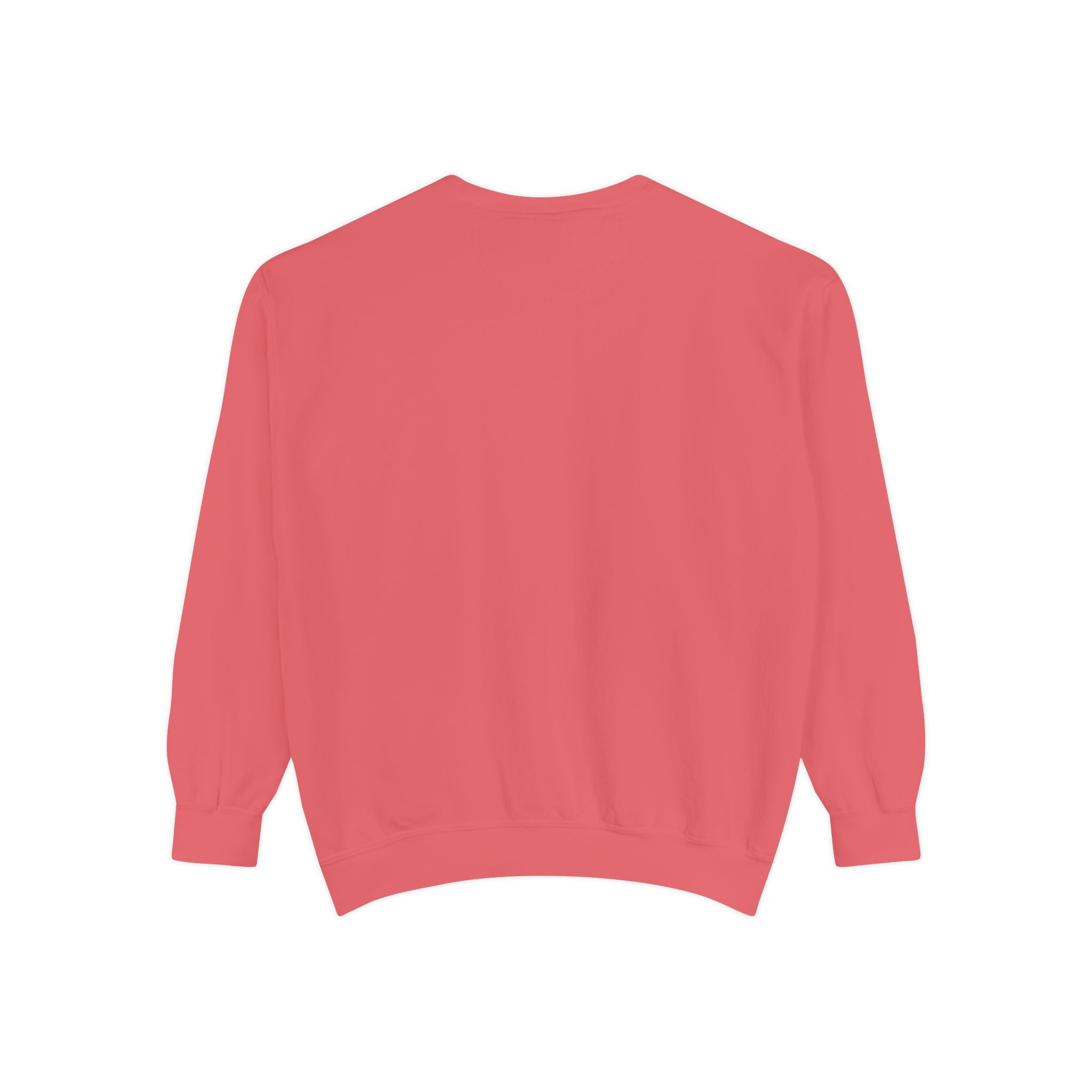 Sweatshirt — Minimal Red "17/17" Chest Logo Garment-Dyed Crew