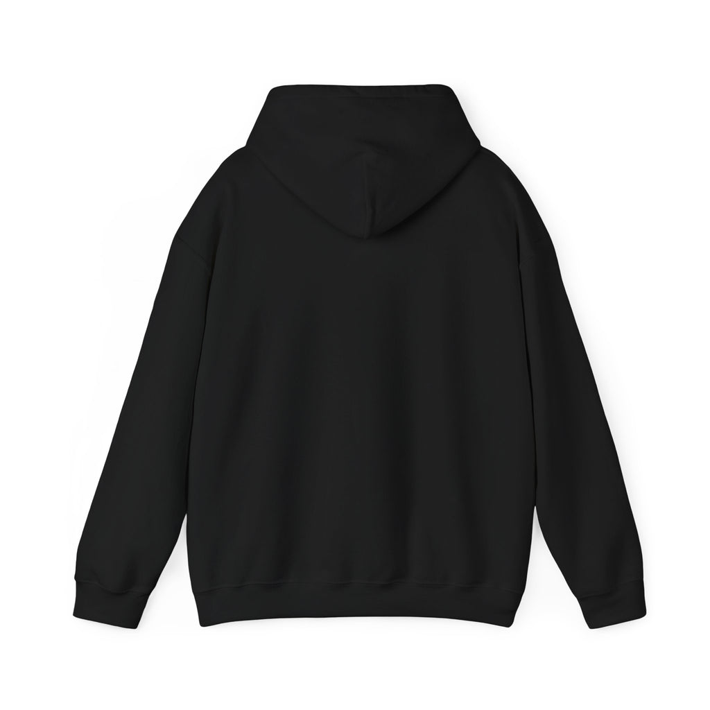 FBS Fashion Baby Script Hoodie – Retro Sun Logo Pullover