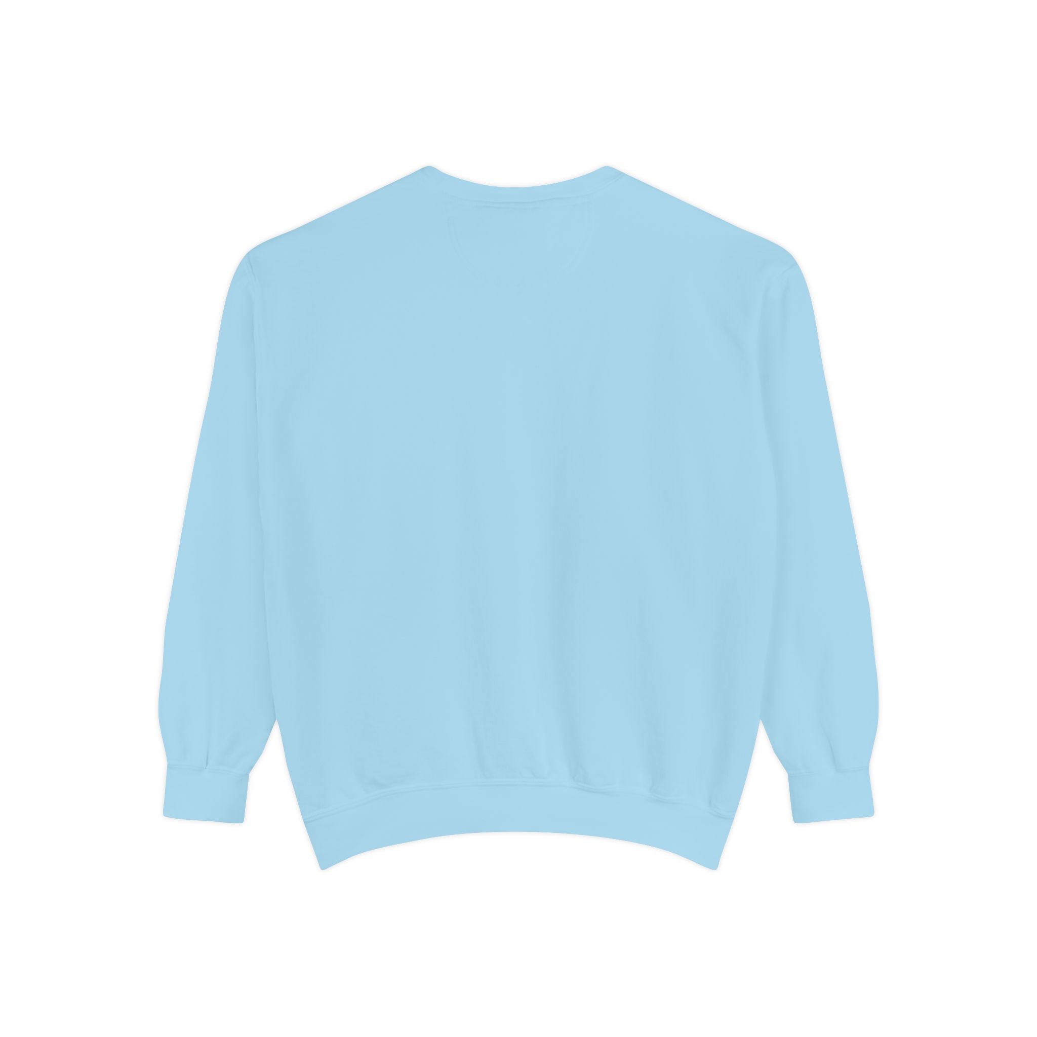 Sweatshirt — Minimal Red "17/17" Chest Logo Garment-Dyed Crew