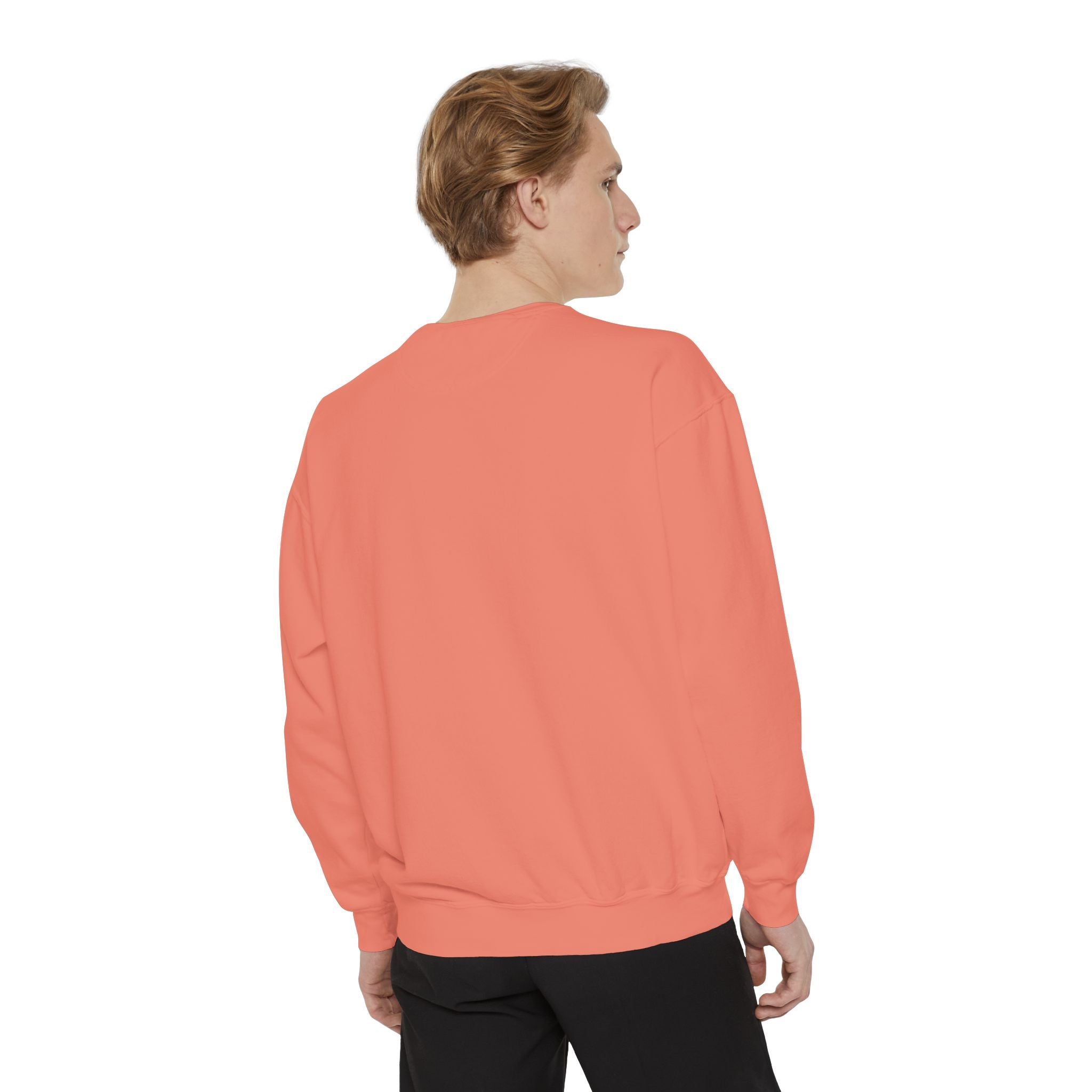Sweatshirt — Minimal Red "17/17" Chest Logo Garment-Dyed Crew