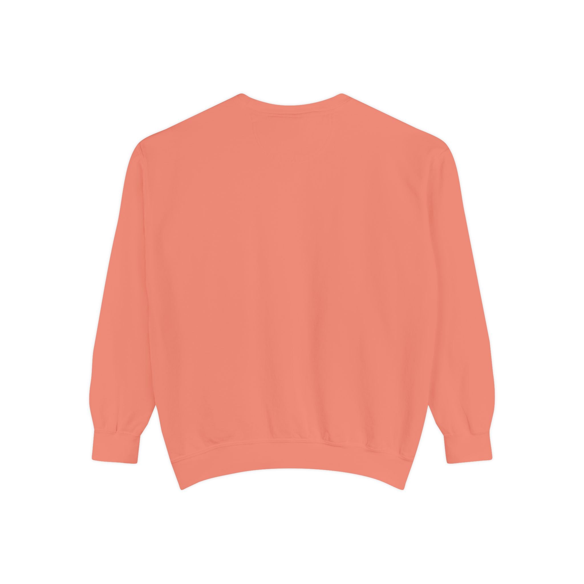 Sweatshirt — Minimal Red "17/17" Chest Logo Garment-Dyed Crew