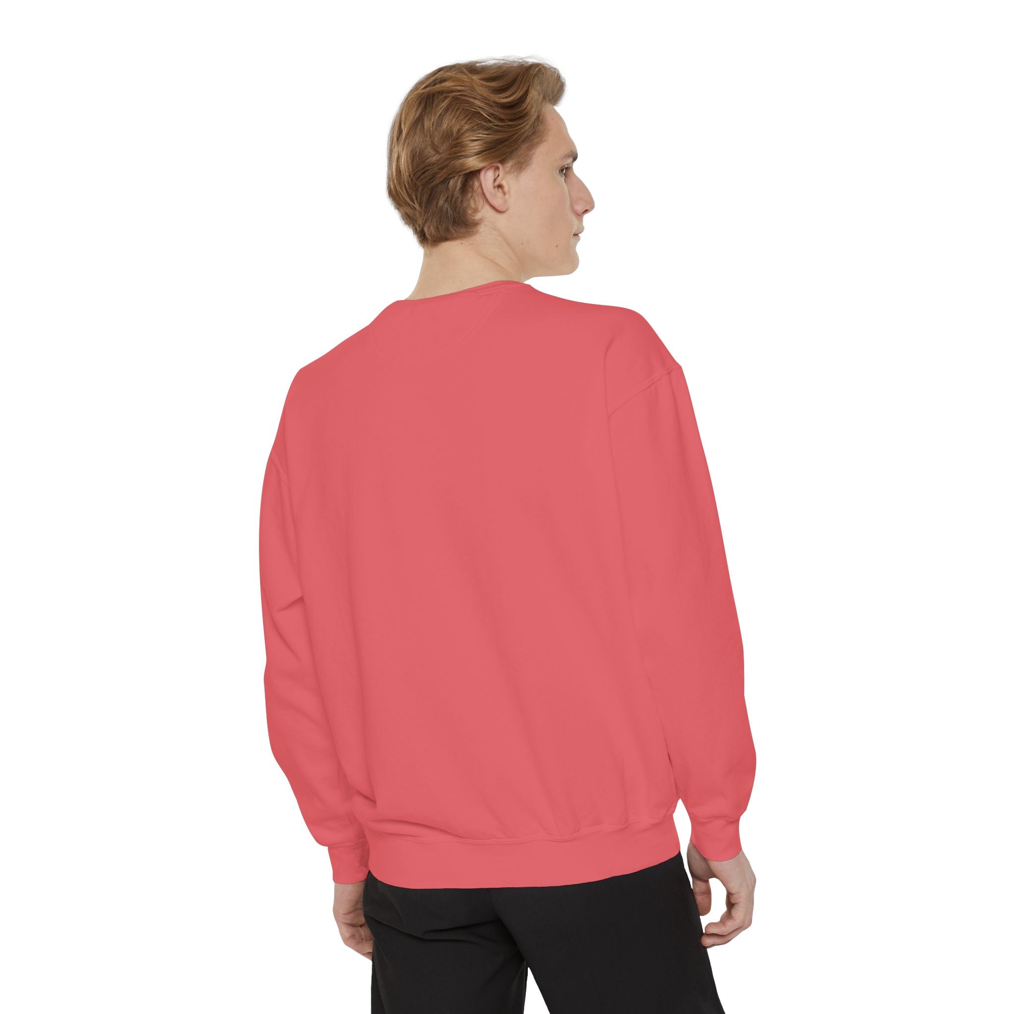 Sweatshirt — Minimal Red "17/17" Chest Logo Garment-Dyed Crew